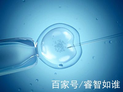 人工孕妈供卵服务怎么预约